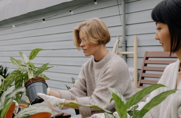 Tips for Creating a Beautiful and Functional Home Garden